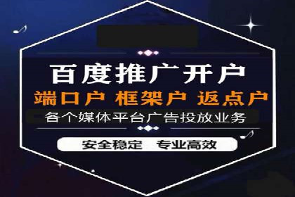 SEM代运营案例分析：精准投放策略解析